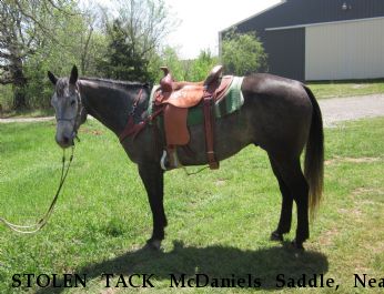STOLEN TACK McDaniels Saddle, Near chandler, OR, 74834